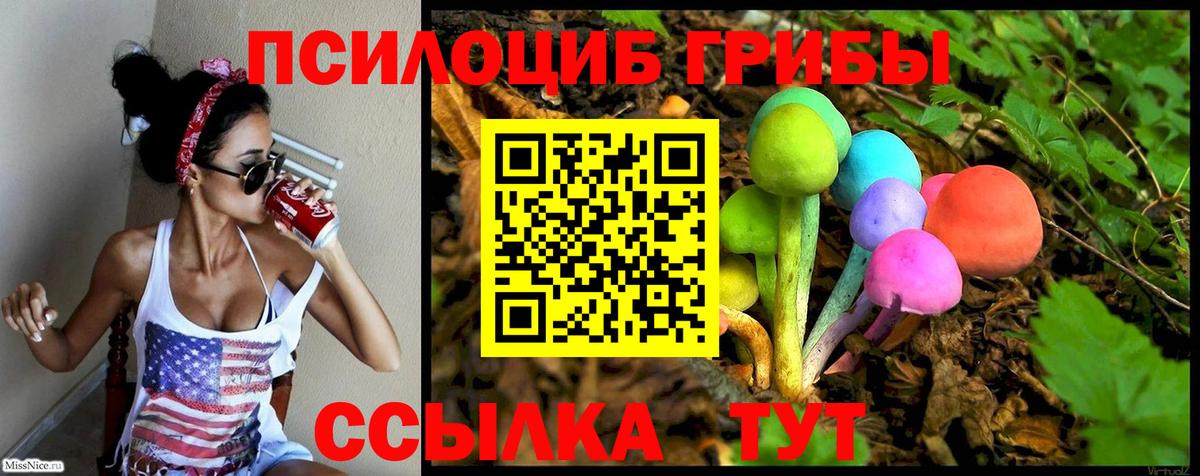 Галлюциногенные грибы Psilocybe Заволжье